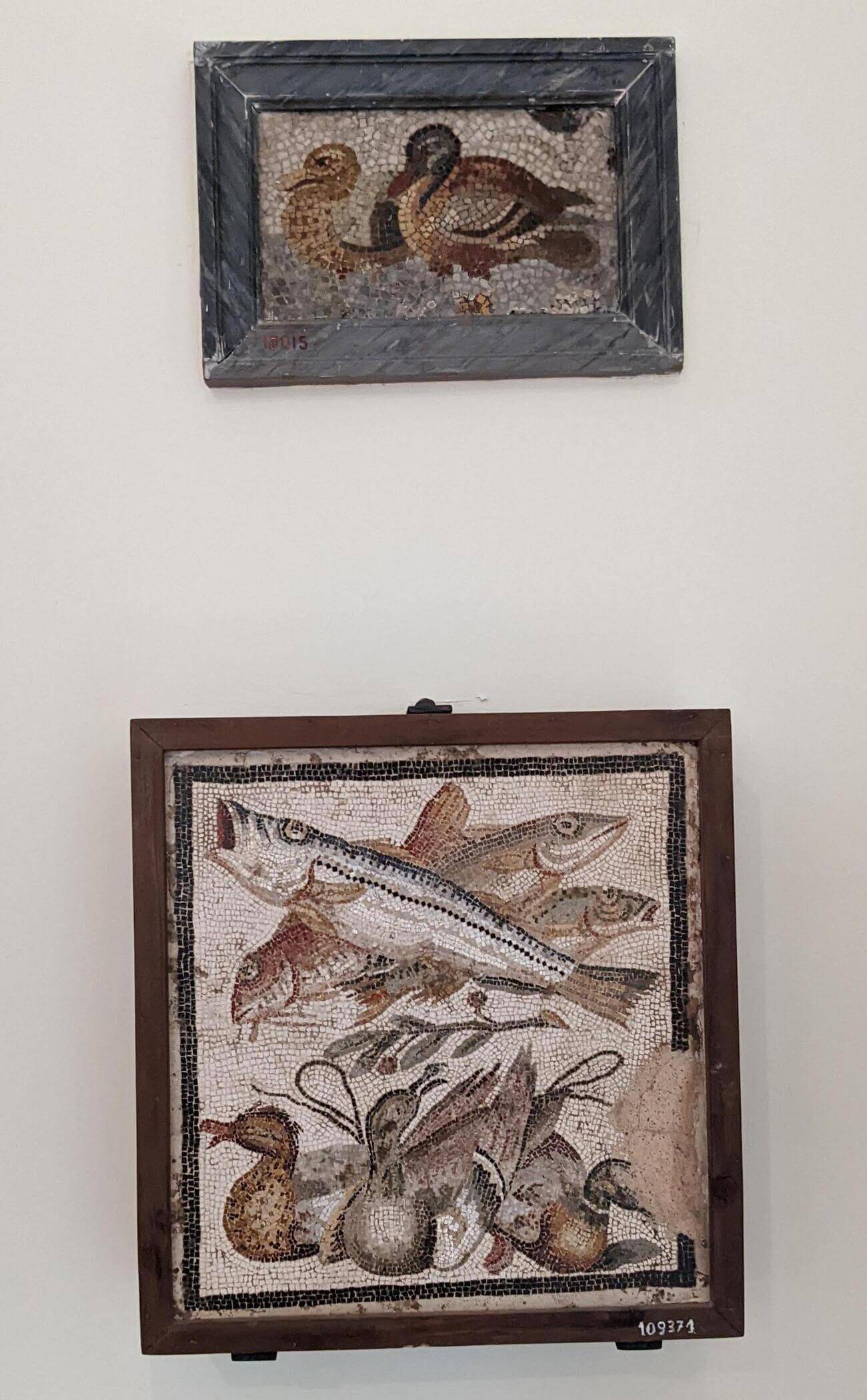 museo_mosaic5