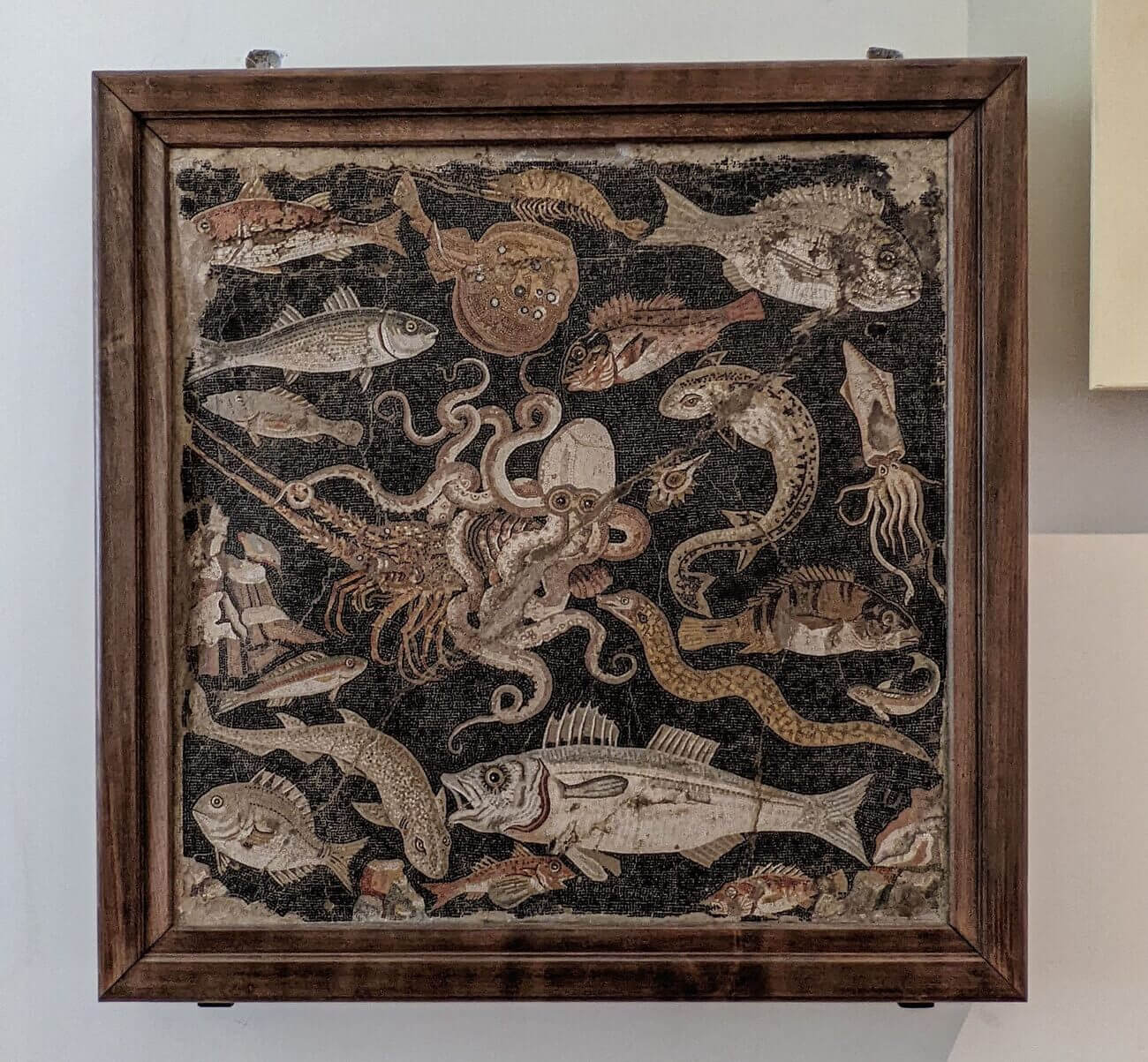 museo_mosaic7