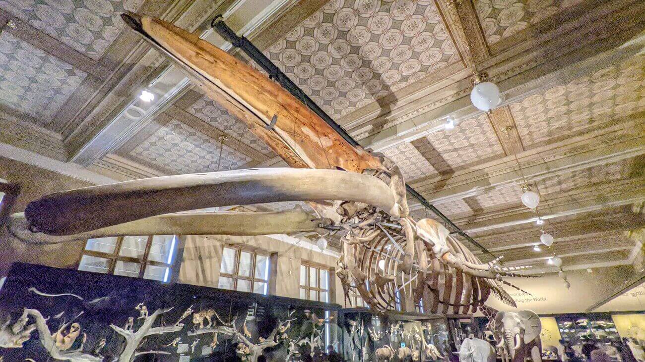 national_museum4