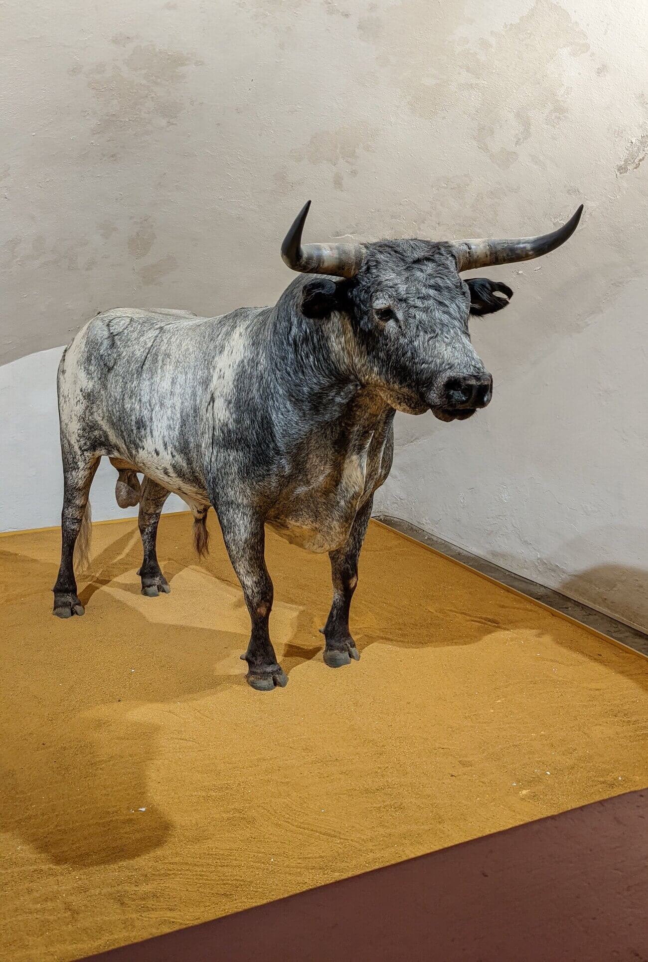 plaza_de_toros6