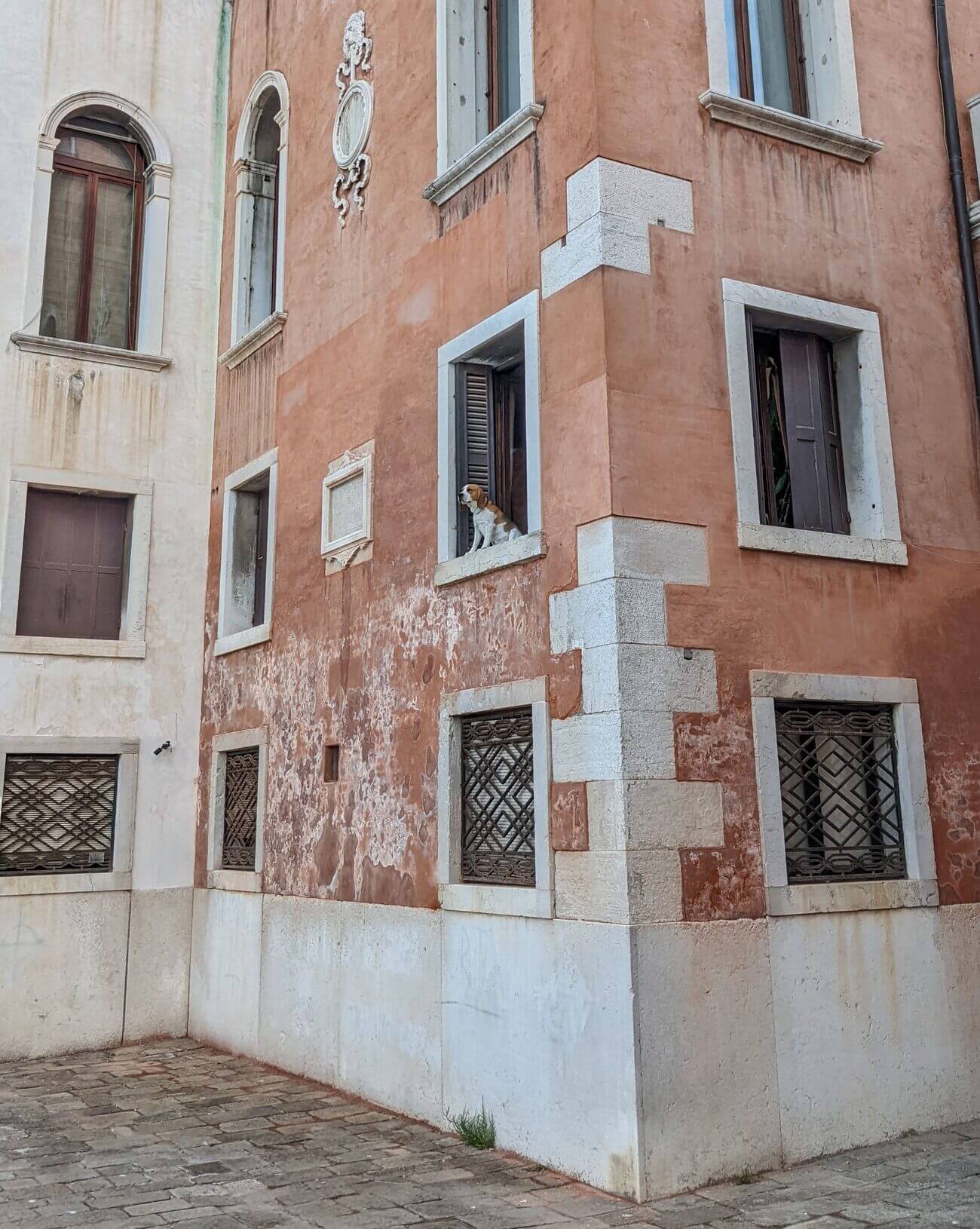 street_view15