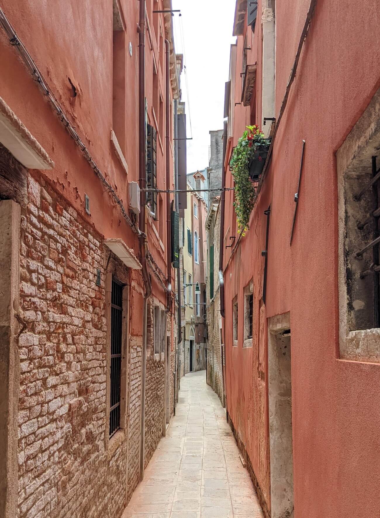 street_view9